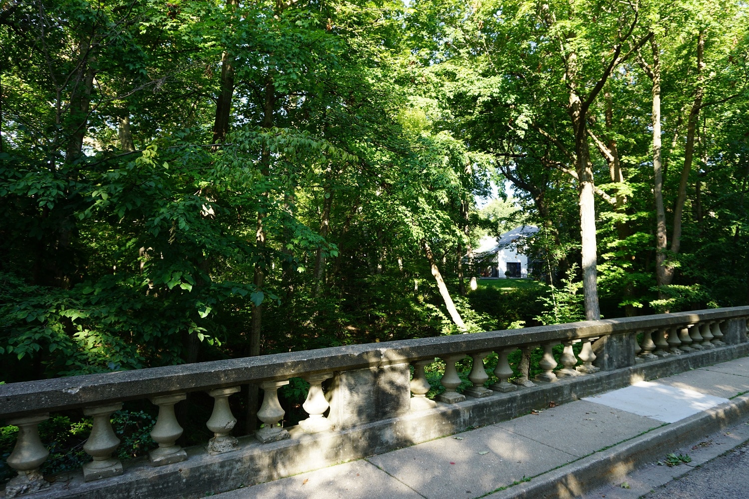 Ravines East Lake Forest